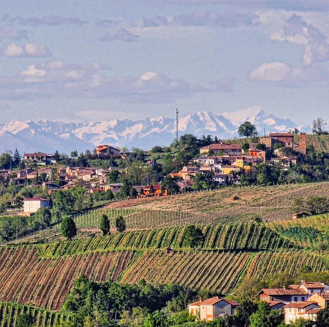 FB_IMG_1739516460314