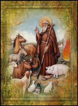 Santo Patrono Sant'Antonio Abate